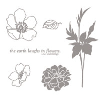 Fabulous Florets Stamp Set